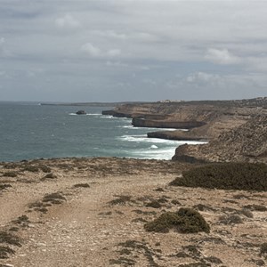 Cape Nuyts