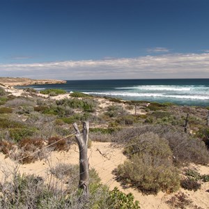 Cactus Beach