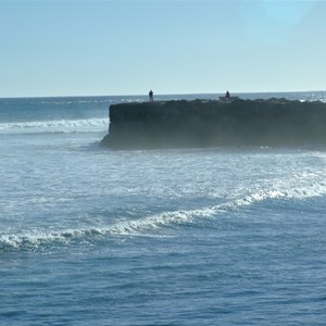 Cactus Beach