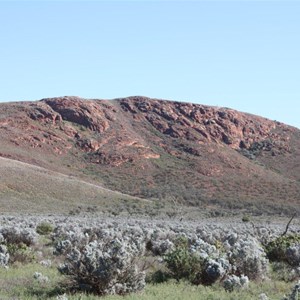 Barber Hikk - Gawler Ranges SA