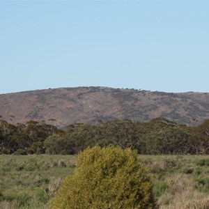 Cooria Hill - Gawler Ranges