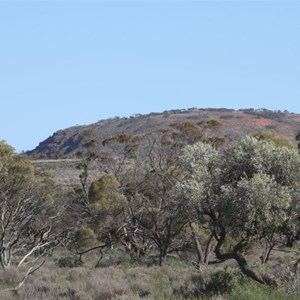 Eurilla Hill - Gawler Ranges SA