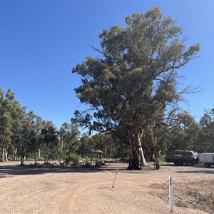 Mambray Creek Rest Area (West)