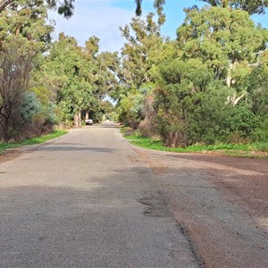 Mambray ck rest area track