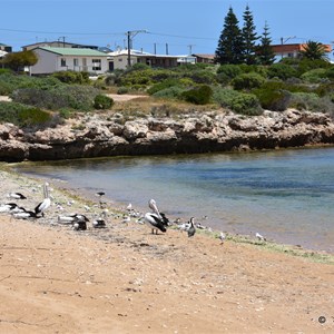 Venus Bay