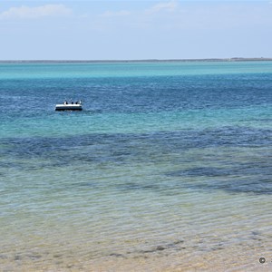 Venus Bay