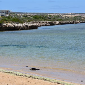 Venus Bay