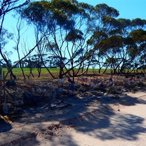 Pygery "Bra' Fence