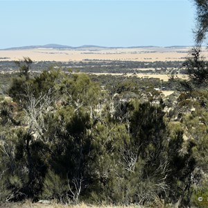 White Knob Lookout