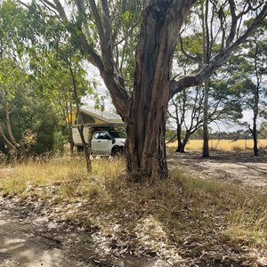 Leigh River camp