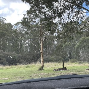 Clover Campsite