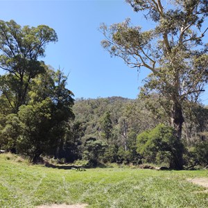 Ollies Jump Up Campground - Upper Dargo Road - Dargo
