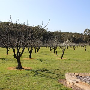 Ilford Valley Cherry Tree Farm