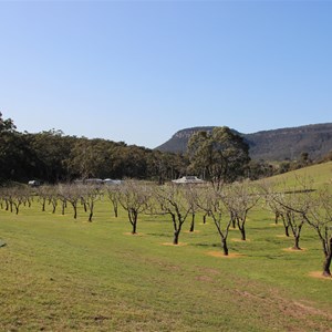 Ilford Valley Cherry Tree Farm