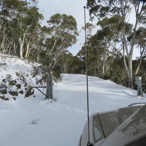 The gate