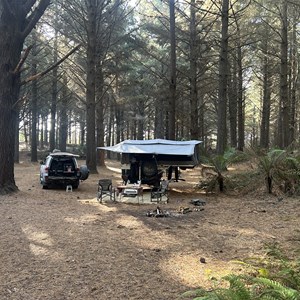 The Pines free camp