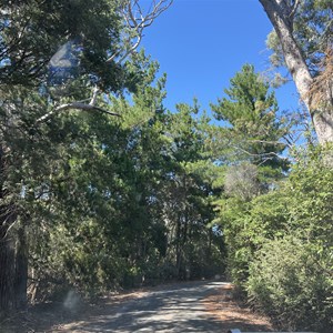 Redbill Point Conservation Area