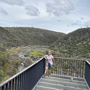 Dennison Lookout