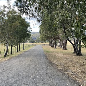 Pub in the paddock