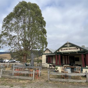 Pub in the paddock