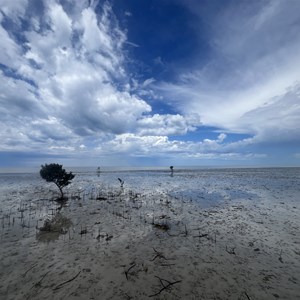 Eight Mile Creek Beach