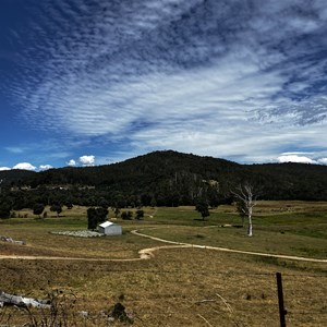 Derby Fraser Flats