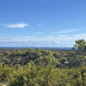 Scenic Lookout