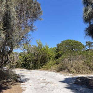 Little Musselroe Bay Camping Area