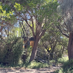 Little Musselroe Bay Camping Area