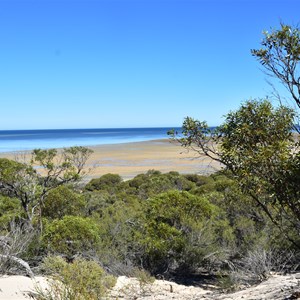 Plank Point