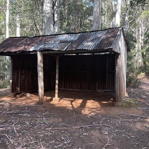 Lake Cethana Campground