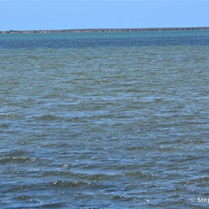 Franklin Harbor