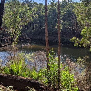 Island Pool