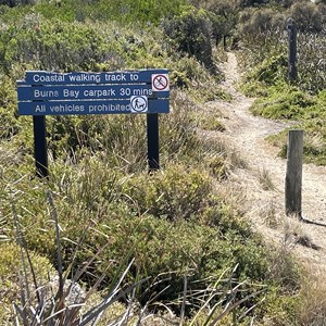 St Helen’s Point Trail Head