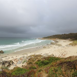 A showery day