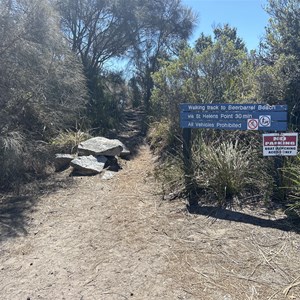 St Helens Point Trail Head