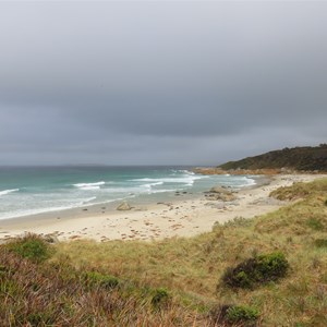 Beerbarrel under showers