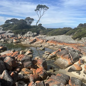 Boat Harbour Point Viewing Platform