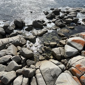 Boat Harbour Point Viewing Platform