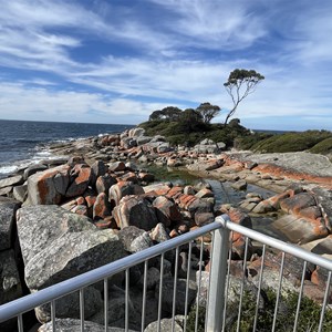 Boat Harbour Point Viewing Platform