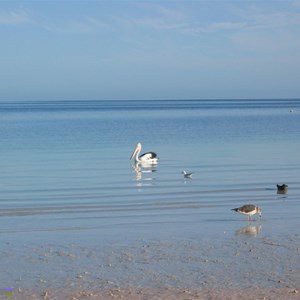 Farm beach