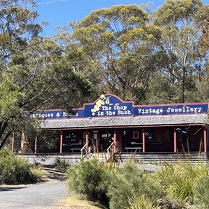 Shop in the Bush