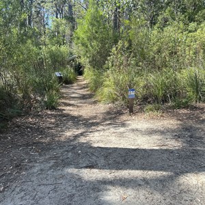 Halls Falls Track Trail Head & Carpark