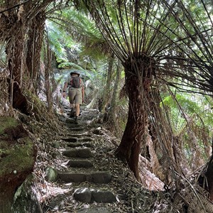 Halls Falls Track Trail Head & Carpark