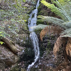 Evercreech Falls