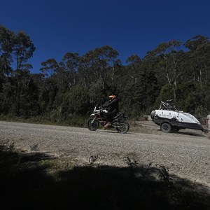 Mount Albert Track