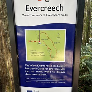 Evercreech White Knights Walk