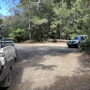 Mathinna Falls Trail Head