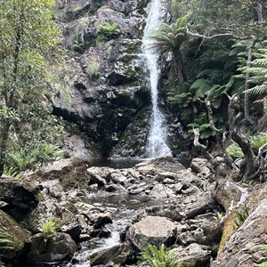 Mid Mathinna Falls