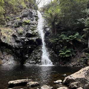 Mid Mathinna Falls